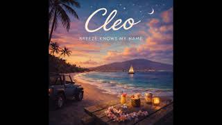 Cleo- Let the Hours Slide screenshot 4