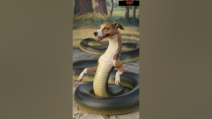 #AIHybirdAnimals #viralvideo #animalkingdom #poetry #artisticcreatures #love #bullvsscorpion #hindi