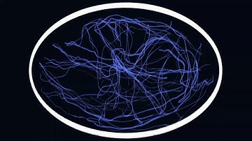 Fabric of the universe