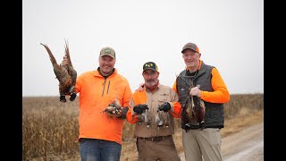 Pheasant & Quail in Kansas: B3 Roadtrip ep4