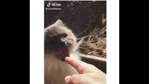 How fast my mood changes