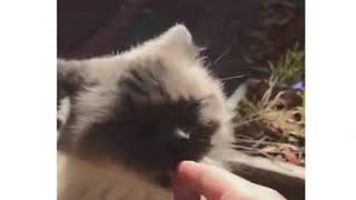 How fast my mood changes