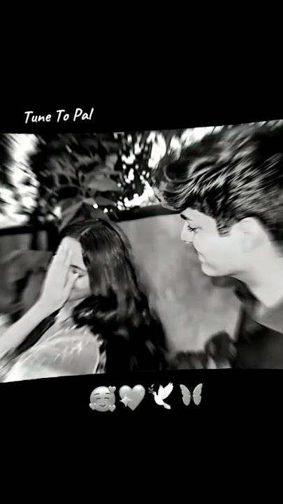 tune to pal bhar mein chori kiya re jiya whatsapp status || #lyrics #song