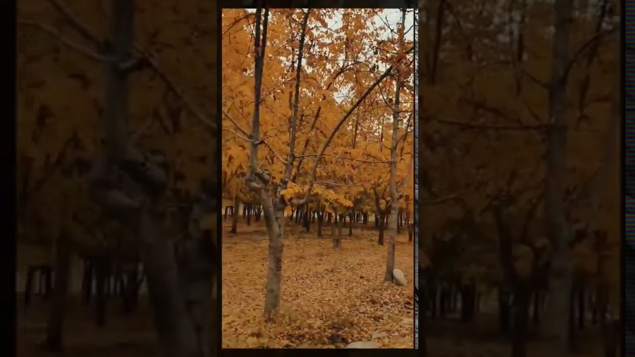 Beauty of Autumn Khaplu Ghanche   | Explore Gilgit Baltistan |