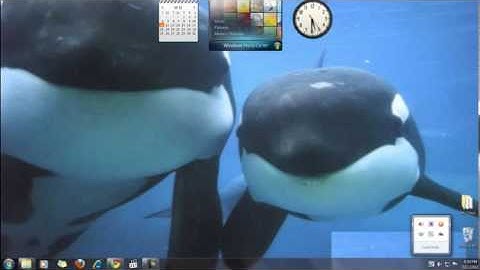 Accessing localhost Web-server on Mac and PC