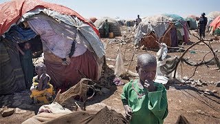 'We lost everything': millions caught between drought and al-Shabaab at risk of famine in Somalia