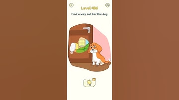 DOP 2 level- 486 Find the way out for the dog.