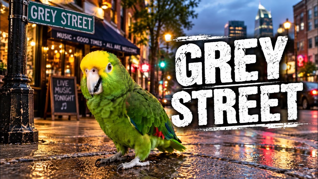 Latest Title & Thumbnail