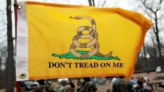 EEOC says 'Don't Tread on Me' flag may be racist