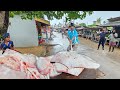 Wow rural cultural villages beautiful street biggest fishmarket fish cutting skills