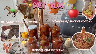 поездка загород ~ сбор диких яблок ~ варенье из ранеток