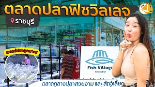 #fishvillage เดินลานเร่ ตลาดปลาฟิชวิลเลจ ปลาถูกมาก !! -SNC FISHROOM #ตลาดปลาราชบุรี #ตลาดปลาสวยงาม