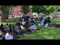 Germantown masjid summer program