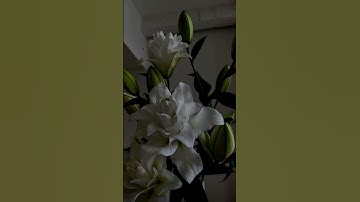 ‏اللهم اجعل القرآن الكريم ربيع قلوبنا ونور صدورنا وجلا. أحزاننا وذهاب همومنا وغمومنا
