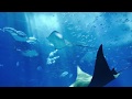 Relaxing Sound of Underwater Ocean Bubbles 3 hours