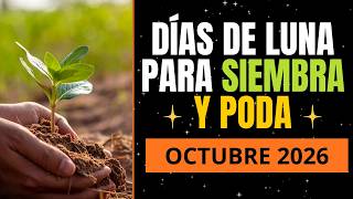 PLANT BY THE MOON OCTOBER 2026 | Lunar days for sowing and planting in OCTOBER