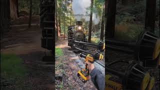 Dewalt Train Horn That Actually Works