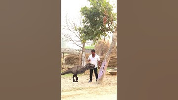 Tree invisible animals funny vfx video 😂📷 #funny #vfxnishadji