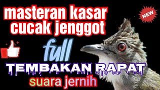 suara masteran kasar cak jenggot.full tembakan dan suara jernih