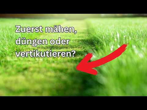 If you want to ruin your lawn, then do exactly what almost everyone does in  the spring. - YouTube