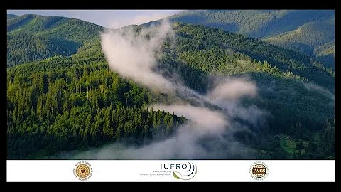 Message for WWD 2020 from John Parrotta, PhD, Pres...