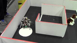 Trinity Fire Fighting Robot Competition: Jarvis - Walking Robot Trial 1