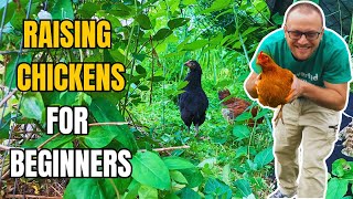 Raising Chickens For Beginners | How to Care for Egg Laying Hens the Easy Way