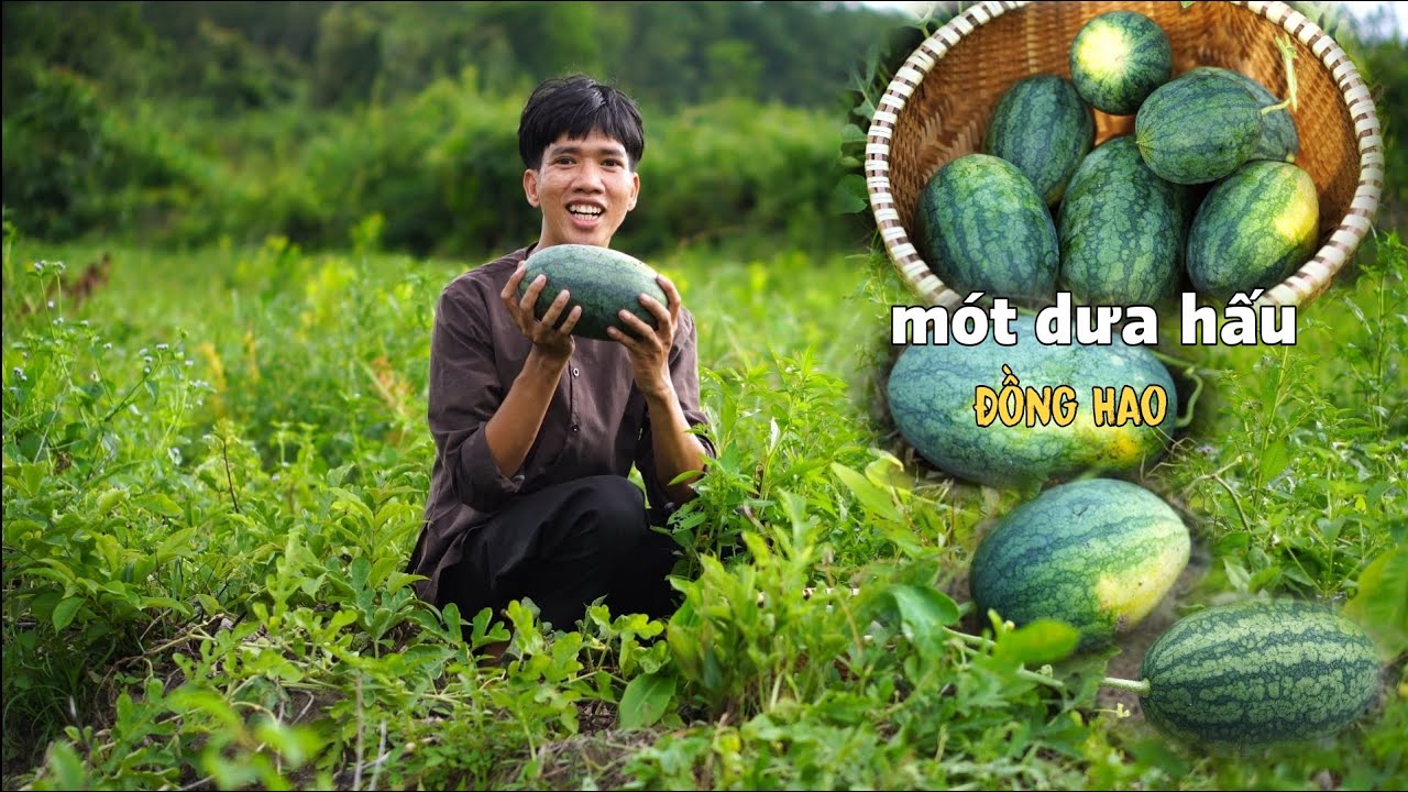 Đến mùa mót dưa hấu ở quê tôi thật là rộn ràng, tôi về làm thành các món ăn bình dị và ấm áp