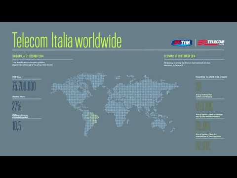 The Telecom Italia Group worldwide in 2014