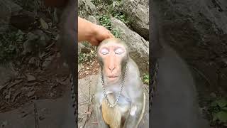 🐵🐒🦥#monkeysworld🦘🐒🐵