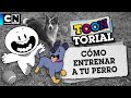 COMO ENTRENAR A TU PERRO | TOONTORIAL | CARTOON NETWORK