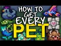 How to get EVERY pet in Terraria (1.4.4)