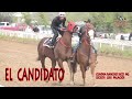 EL CANDIDATO VS LA GATA 250 YDS