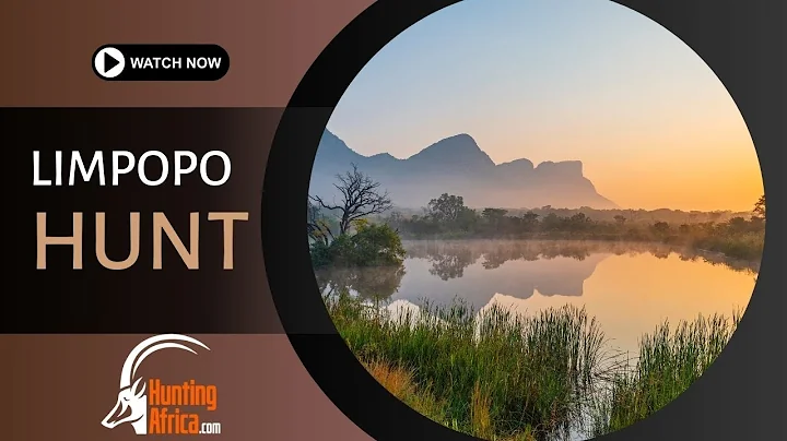 Epic Full African Safari | Limpopo Valley | 2024