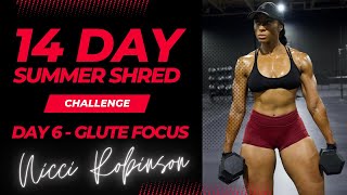 14 Day Summer Shred Challenge - Day 6