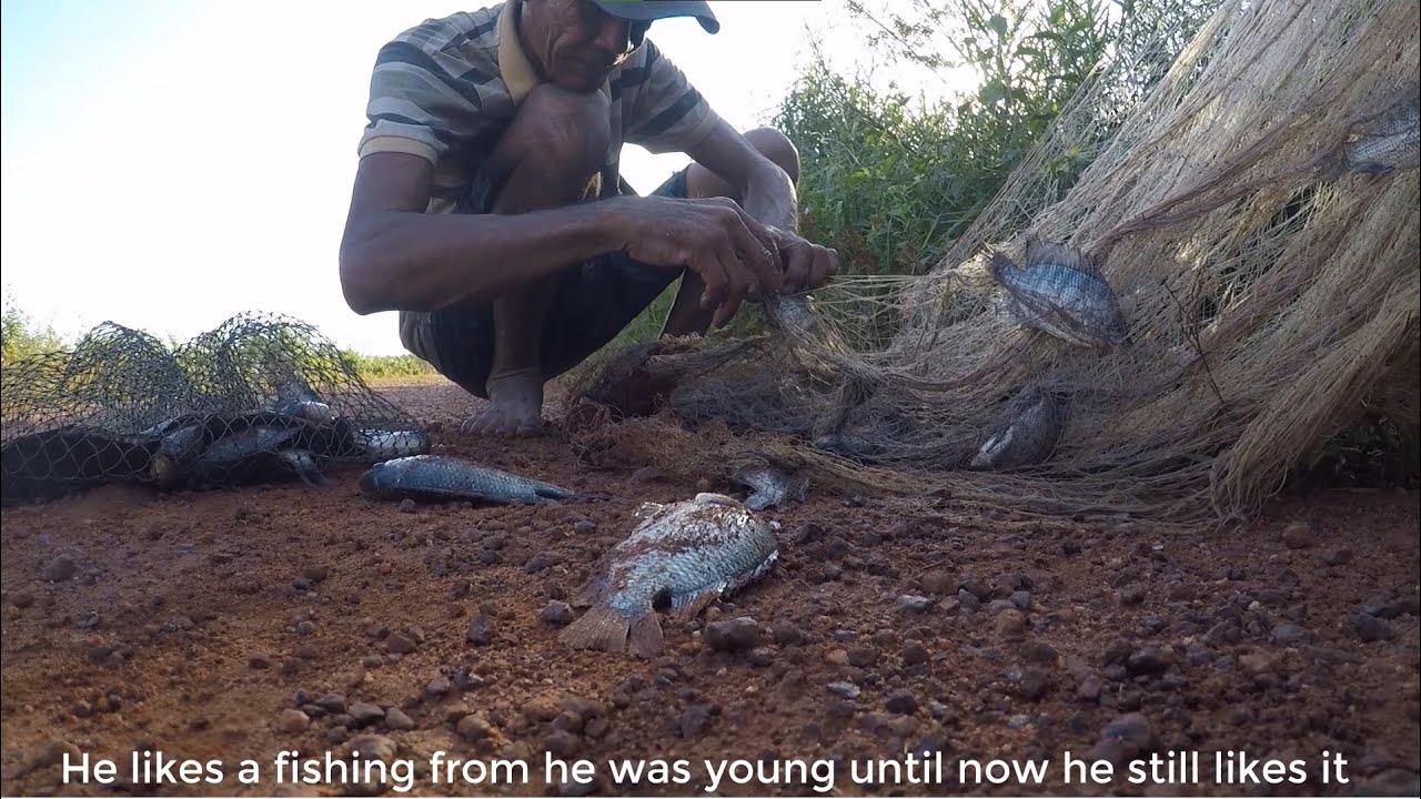 Cambodian Traditional Net Fishing | Fishing Vlog | FLV Official