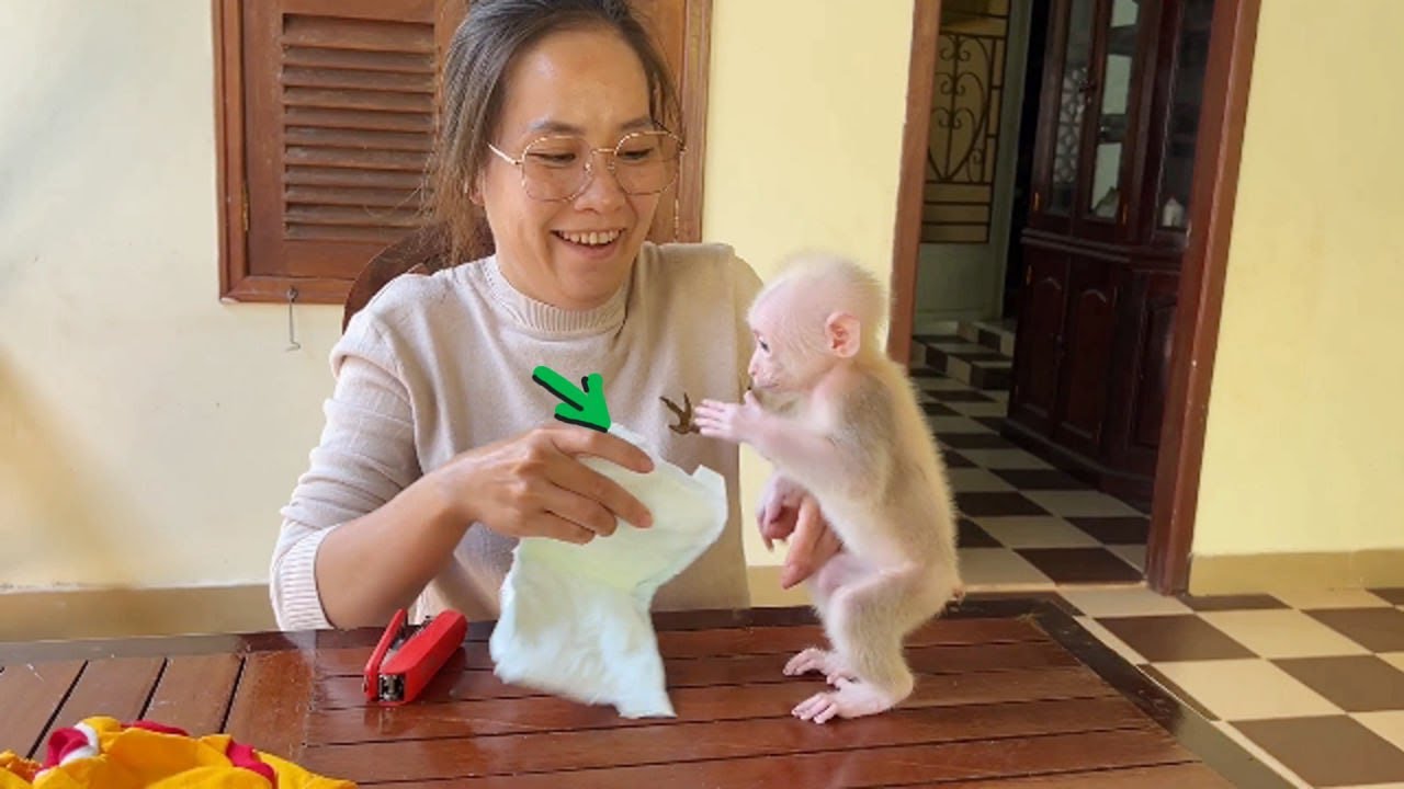 Pavpav Improve His Leg Well, Stand Two Leg Ask Mom For Pamper