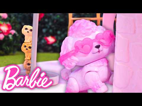 Cache-Cache des Chiots 🐶 | Barbie Animaux : En Liberté E3 | Barbie Français