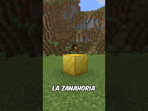 LA MEJOR COMIDA