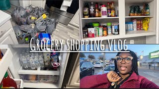 GROCERY SHOPPING FOR NEW APARTMENT | Moving series Ep. 2