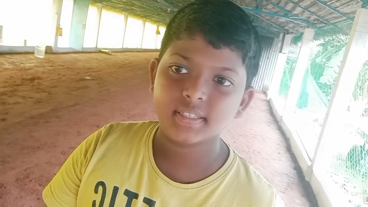 HOW TO USE vibrator MACHINE