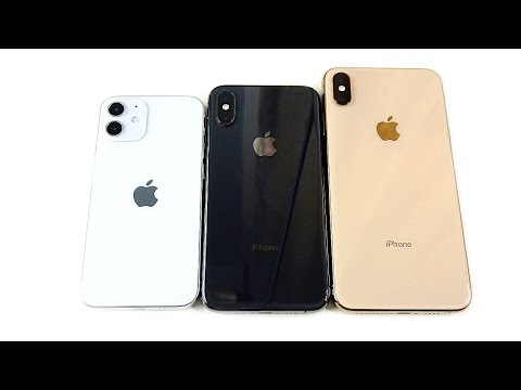 iPhone 12 mini vs 12 vs 12 Pro Max size comparison. 