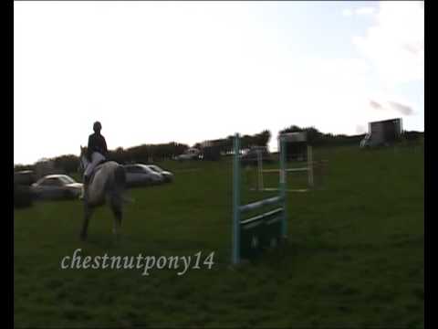 Showjumping//Sou...  Bradford - Halo (03/05/09)