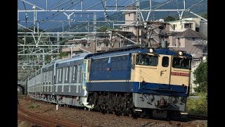 2019.10.06 8860レ EF65 2091 + 東京メトロ13000系