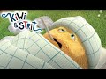 Feeling Under the Weather | Kiwi & Strit | Cartoons for Kids | WildBrain Bananas