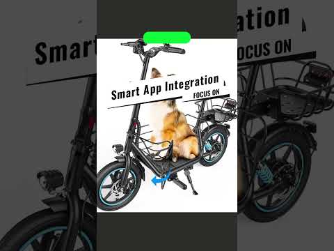 Best Electric Scooters