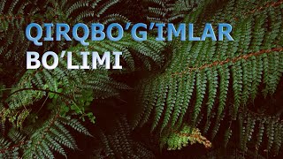 QIRQBO'G'IMLAR BO'LIMI - DALA QIRQBO'G'IMI | ҚИРҚБЎҒИМЛAР БЎЛИМИ - ДAЛA ҚИРҚБЎҒИМИ.