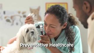 Woodbridge, VA, | River Oaks Veterinary Clinic | Pet Care