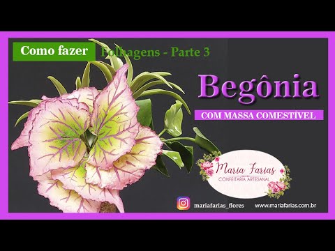 COMO FAZER FOLHAGEM DE BEGÔNIA EM PASTA COMESTÍVEL - thptnganamst.edu.vn