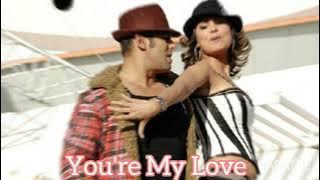 You're My Love ( slowed   reverb ) Salman Khan , Lara Dutta | Partner